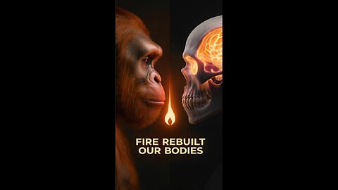 How Fire Literally Rebuilt the Human Body | E57.1 | The Origin Pulse