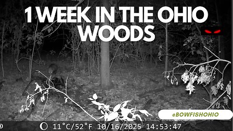 1 Week on a Deer Carcass in Ohio – Wild Wildlife Footage! 🦌 Coyotes, Bobcats & More