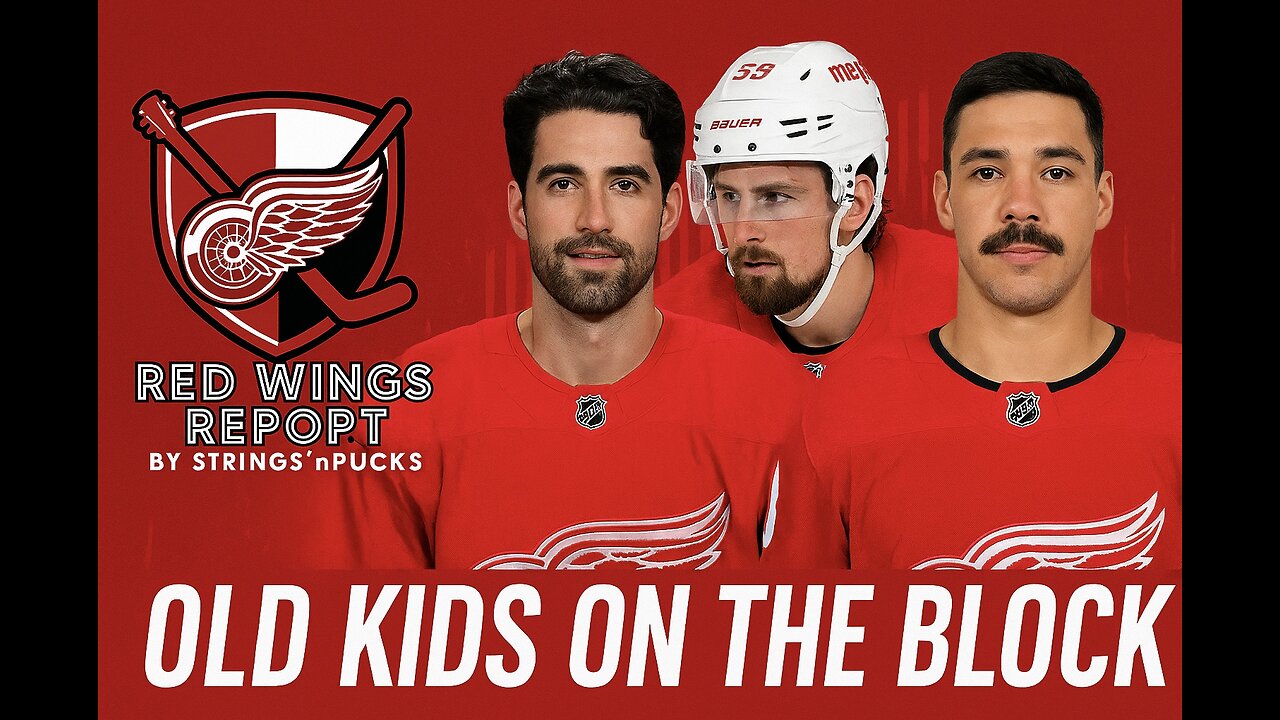 DETROIT RED WINGS are shopping defensemen