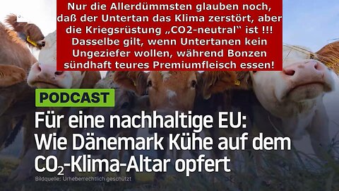 IRRE Auswüchse des Klimawahns