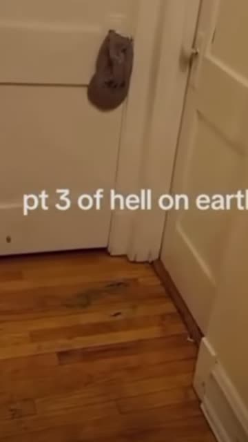 Video is not considered evidence anymore, apparently though