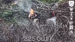 Ukrainian 225th Assault Brigade Has An Incredible Month of October