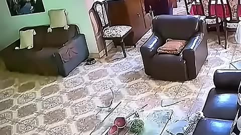 FUNNIEST Dog Videos EVER p2 #dog #funny #cute