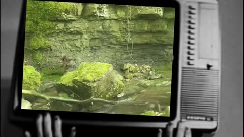 😱👻 The Scariest Ghost Encounter Ever! | TheHauntingHour