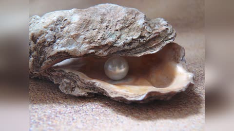 Lord Help Me I Keep Failing