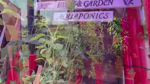 Aquaponics- the ultimate natural food production system