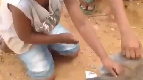 Två slutkörda barnarbetare på Madagaskar utnyttjas hänsynslöst av en lemur