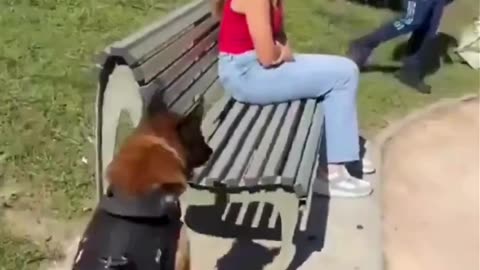 Dog protects girl from muslims in France
