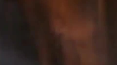 Mafia III: Definitive Edition - Never been one to shy away from a caculated risk