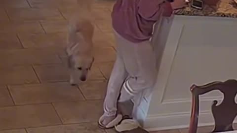Must Watch: his time to shine #bruh #subscribe #meme #memes #funny #shorts #capc