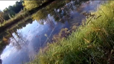 Go Down At The Pond All Night Long