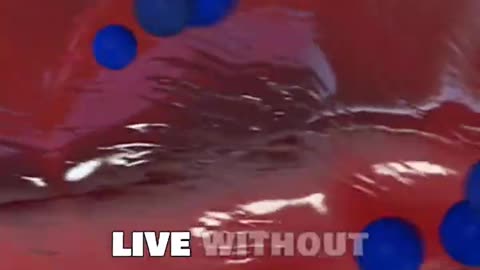 What Happens If You Lose Your Spleen?