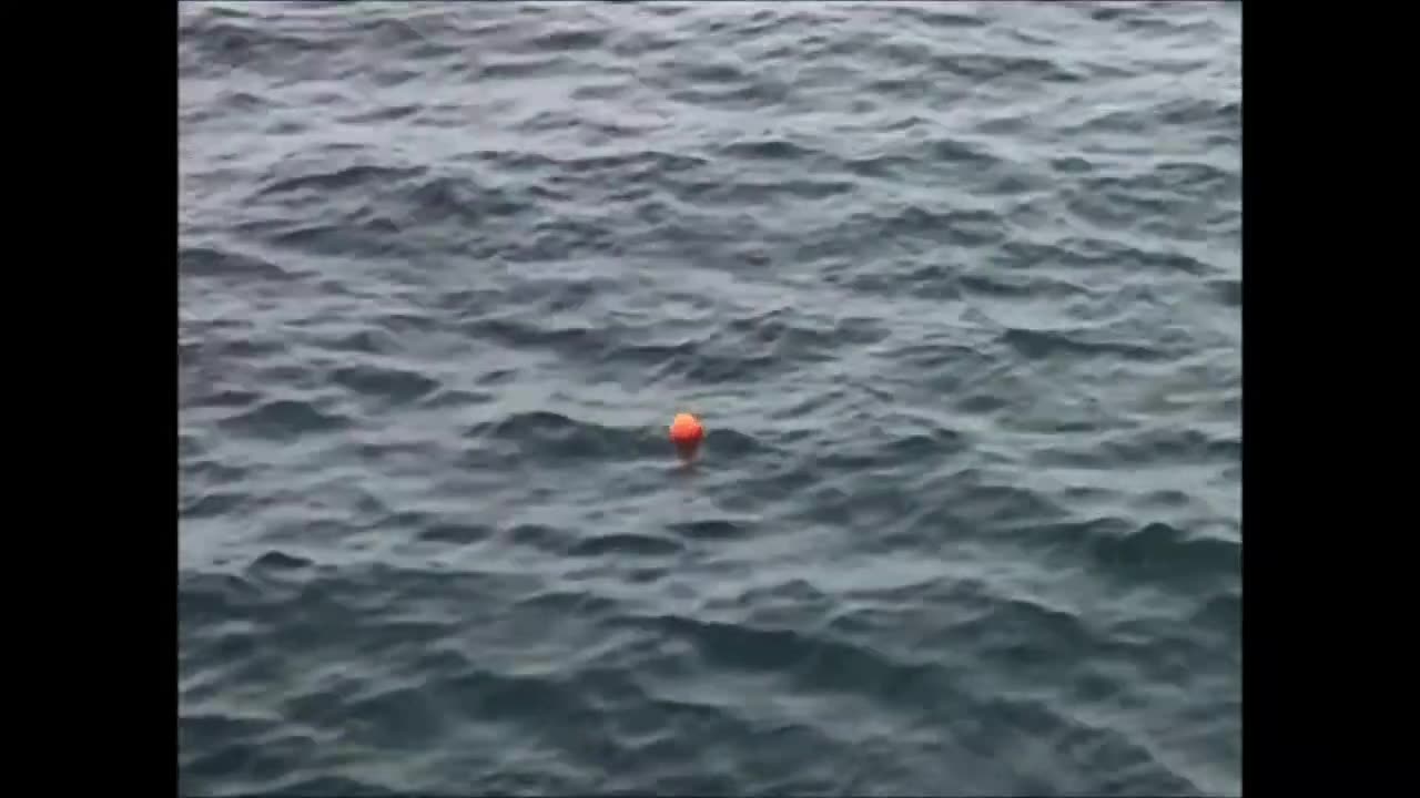 Huge snapper off the rocks on softbait