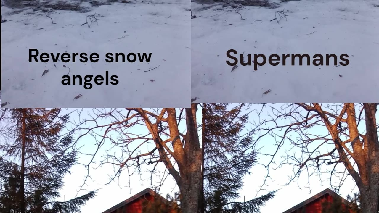 Beginner Calisthenics Back Workout💪🏻 No Equipment