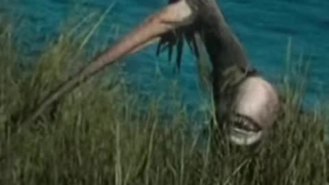 👽🕷️ They Thought They Were Alone... A Creature That Preys on Peculiar Children | TheHauntingHour