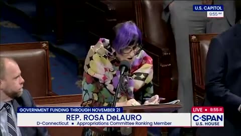 If this woman were not a Democrat politician, then what job would she have 