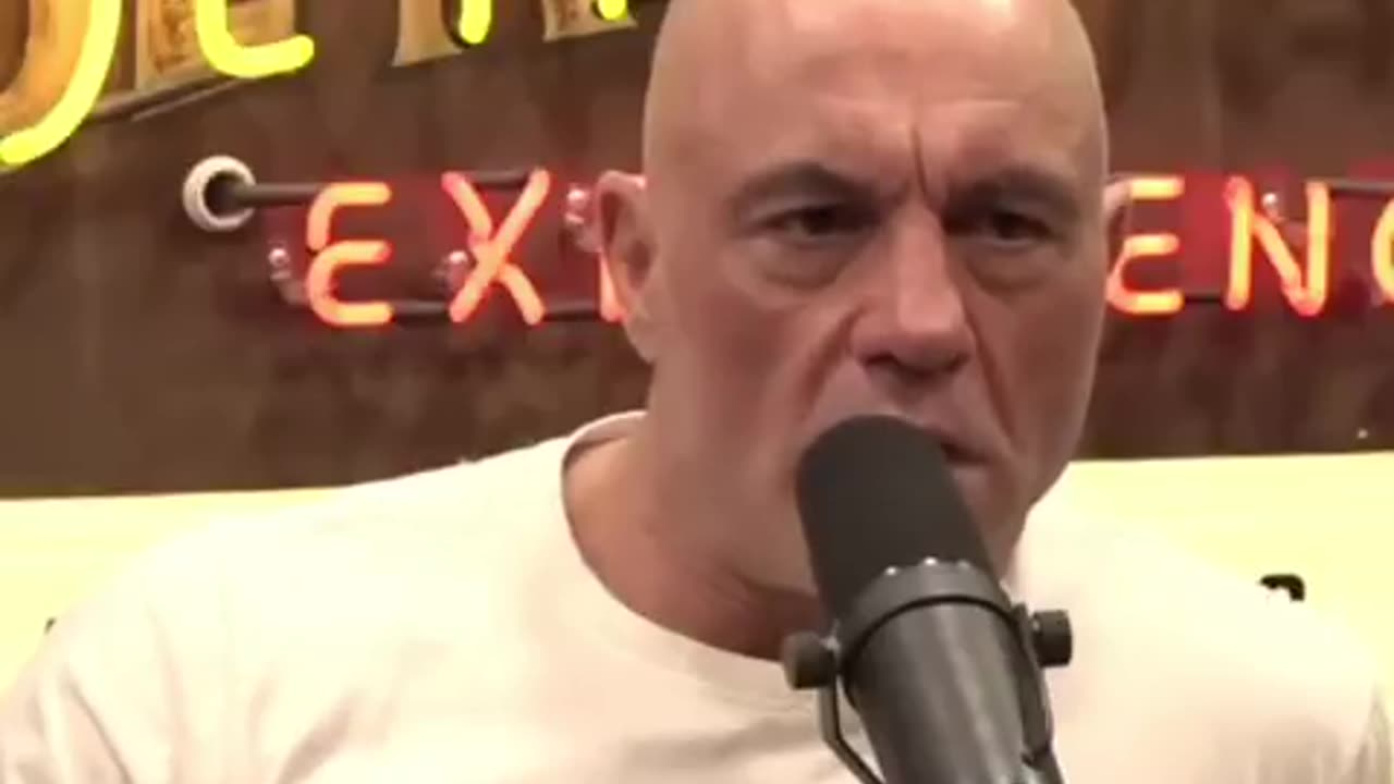 Elon Musk and Joe Rogan talk about the mainstream media