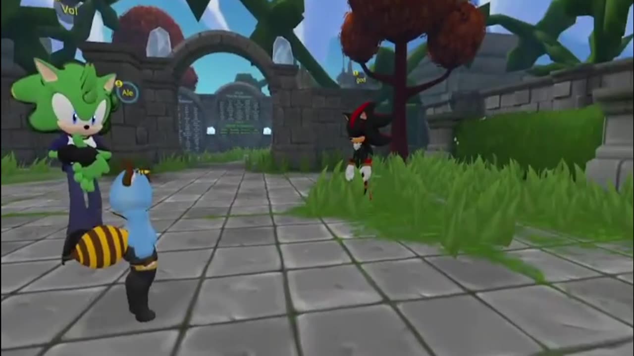 Sonic wants to give Shadow a special hug