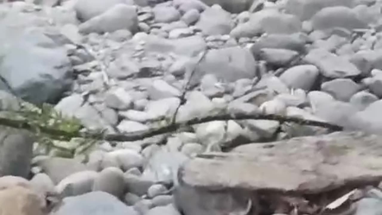 Natural
