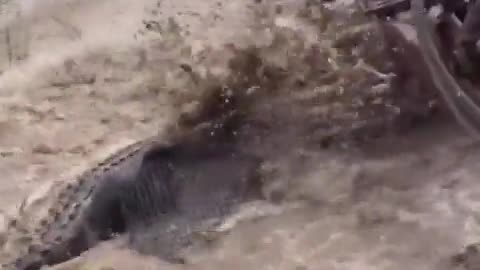 😨🚜 The Dark Secrets of Louisiana Farming Exposed! | TheHauntingHour