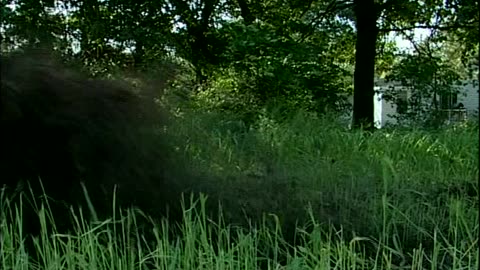 Cover Cropping Te... - Cover Cropping Techniques - Muth Farms, Williamstown, NJ - edu.uvm.cropping.8