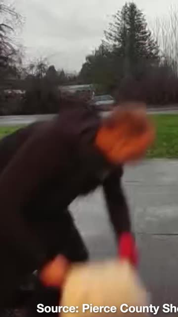 Clumsy Package Thief Nearly Trips While Stealing Property