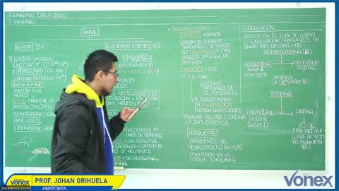 VONEX SEMIANUAL 2025 | Semana 05 | Anatomía