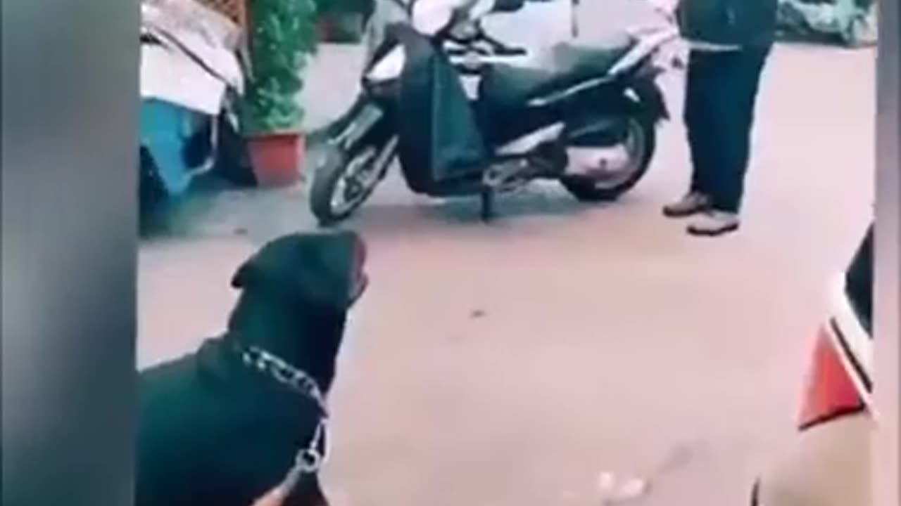 😱🏃♂️ You Won't Believe What's Chasing Them! | FunFM