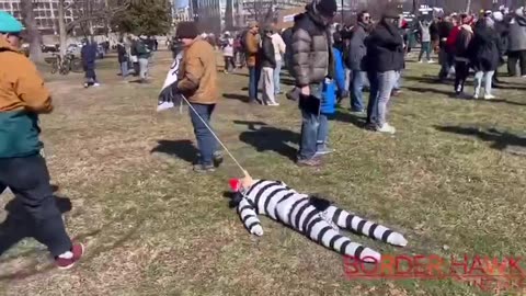 A mostly peaceful protestor at the US Capitol is dragging around an effigy of