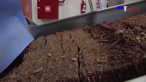 Amazing Tobacco Harvesting And Manufacturing || The Amazing Process of Tobacco Production