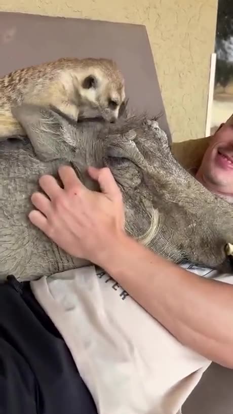 Timon and Pumbaa when off acting set 😃