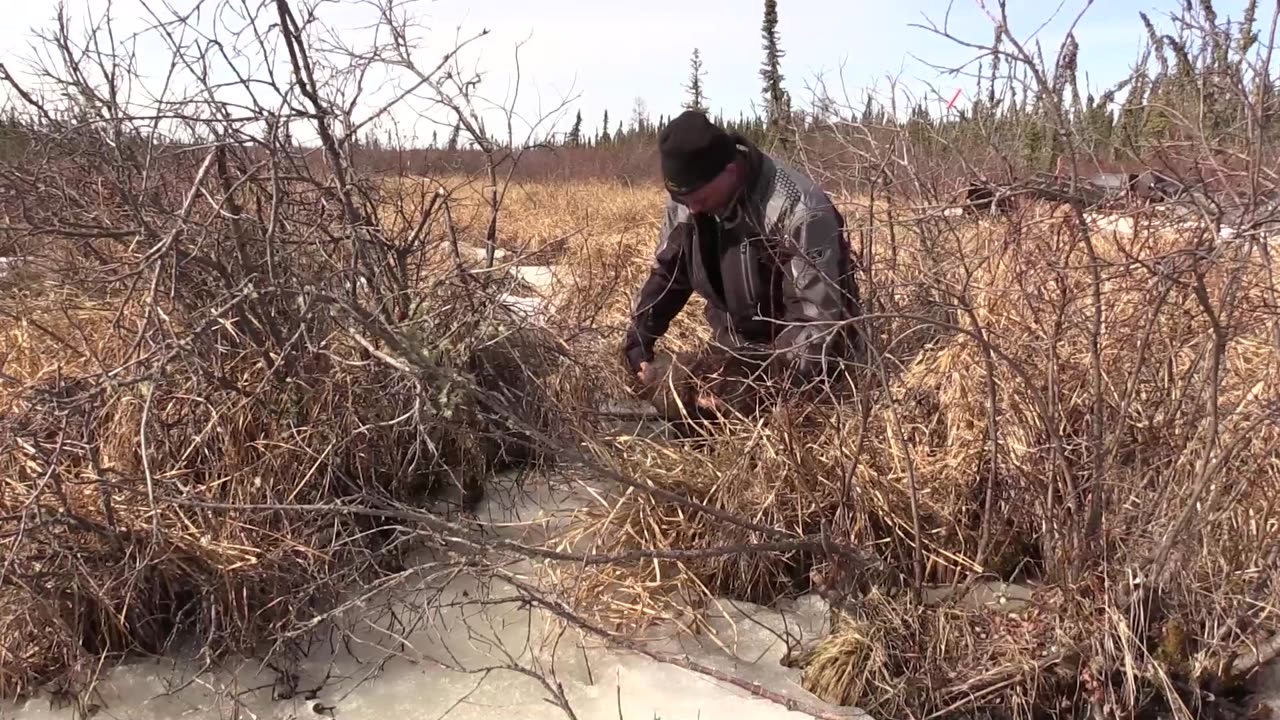 Trapping Inc Season 5 Episode 10 Spring Otter!