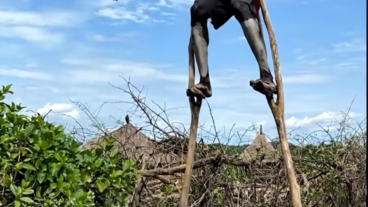 Stick Walking man found a crocodile