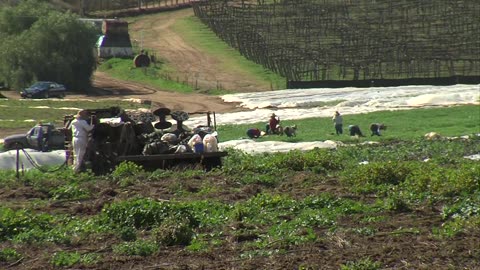 vertical farm skyscraper