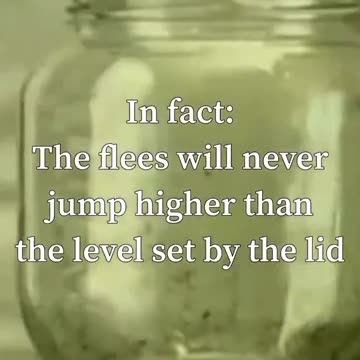 You'll never see the world the same after watching this 20 second video