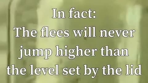 You'll never see the world the same after watching this 20 second video