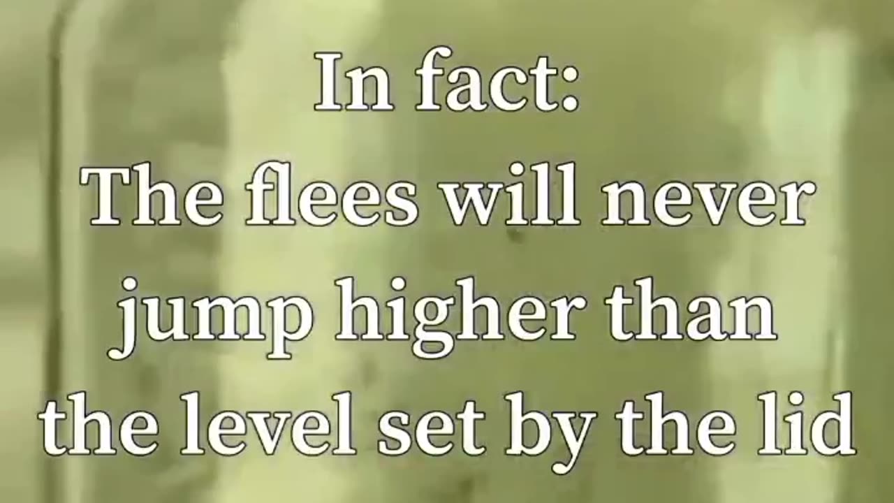 You'll never see the world the same after watching this 20 second video