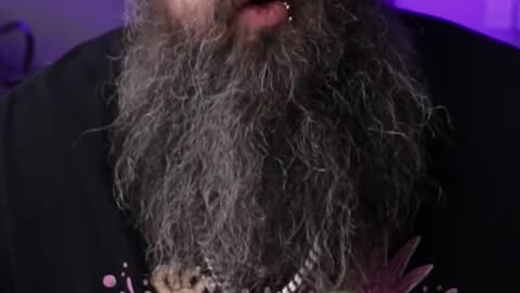 Pizza or Lasagna? You Decide!