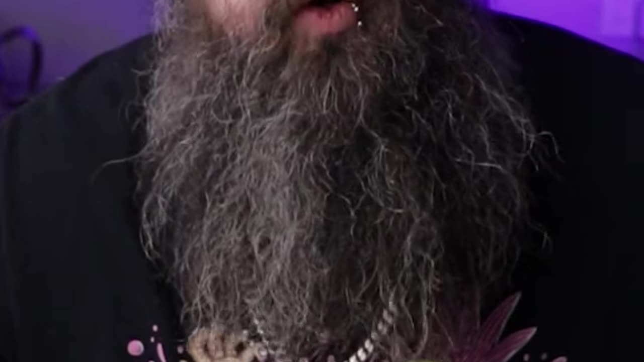 Pizza or Lasagna? You Decide!