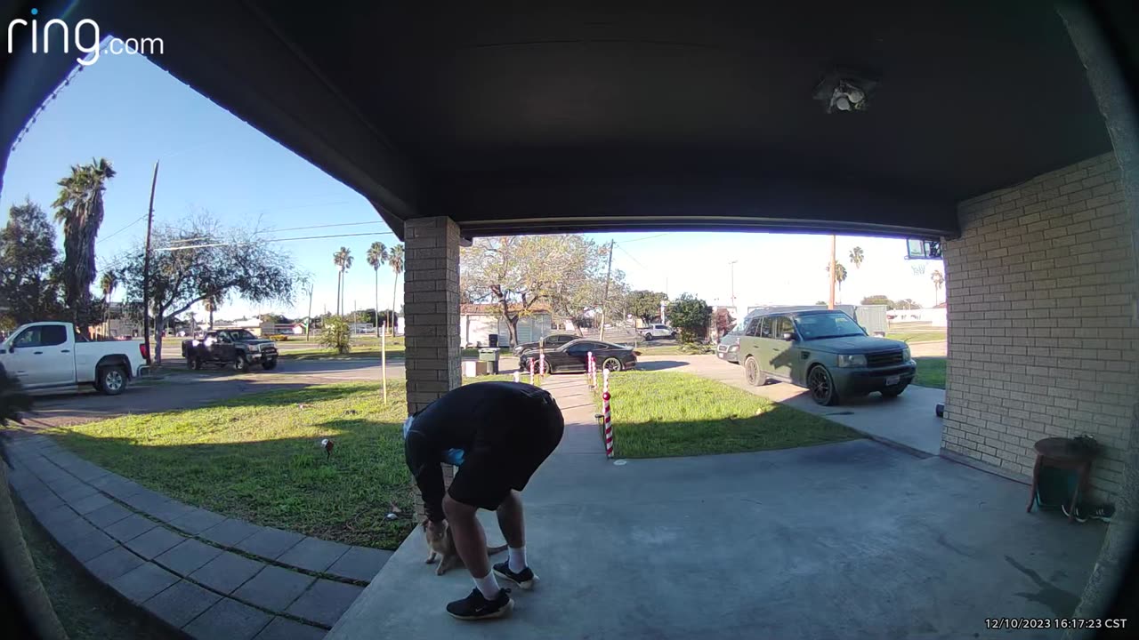 Amazon Delivery Man Is Best Friends With My Cat