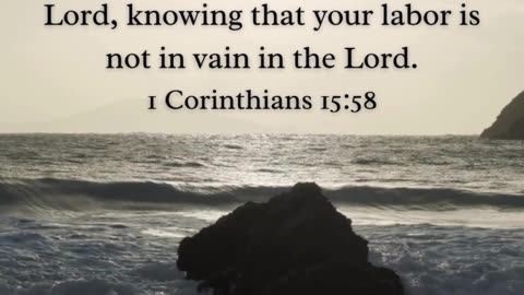 Scripture of the day