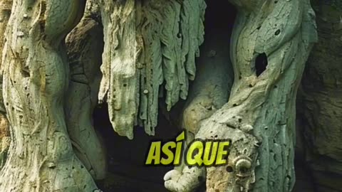 Los gigantes existieron?