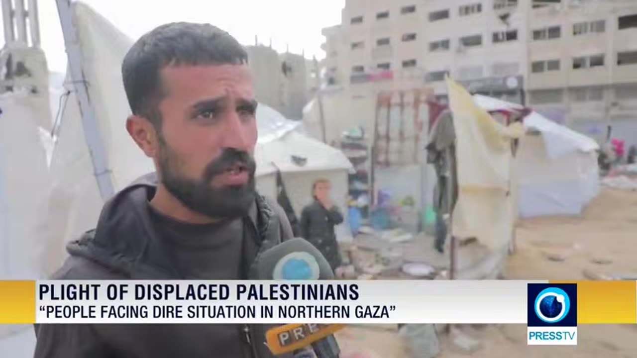 Plight of displaced Palestinians