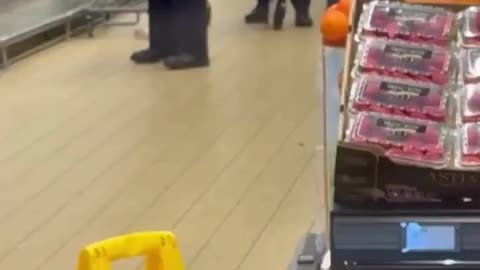 INSANE FOOTAGE! A coyote is DRAGGED OUT out of the refrigerator at an Aldi