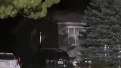 Deer Quispamsis New Brunswick