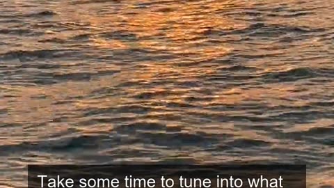 Daily Horoscope | Leo 🌟