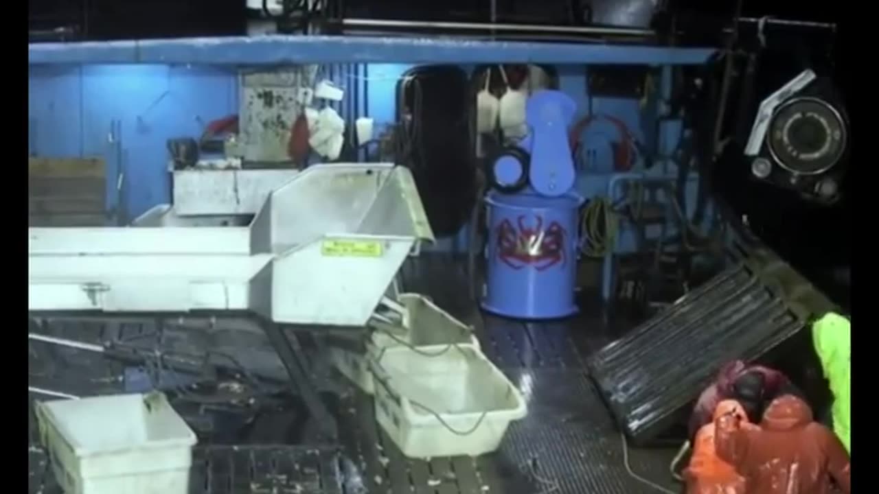 🤯🚢 Worker Falls Off Ship into the Ocean - Watch What Happens! | FeedMyCuriosity