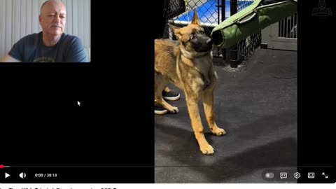 Miracle K9 - Going "Bonkers" with Balanced Dog Training - Pt 1