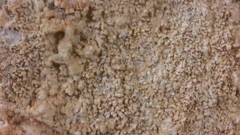 Gruta de Garcia 6 (Garcia, Nuevo Leon, Mexico)