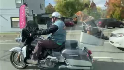 Riding with your friend!